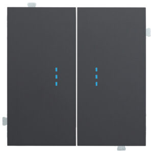 Кнопка двухклавишная с подсветкой (механизм + клавиша) Черный сатин