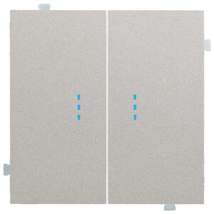 Кнопка двухклавишная с подсветкой (механизм + клавиша) Платина