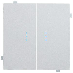 Кнопка двухклавишная с подсветкой (механизм + клавиша) Серебро