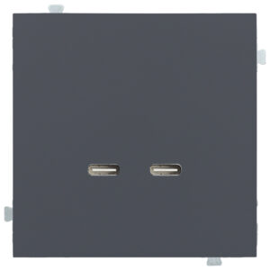 Зарядное устройство USB C/C 60 Вт Базальт